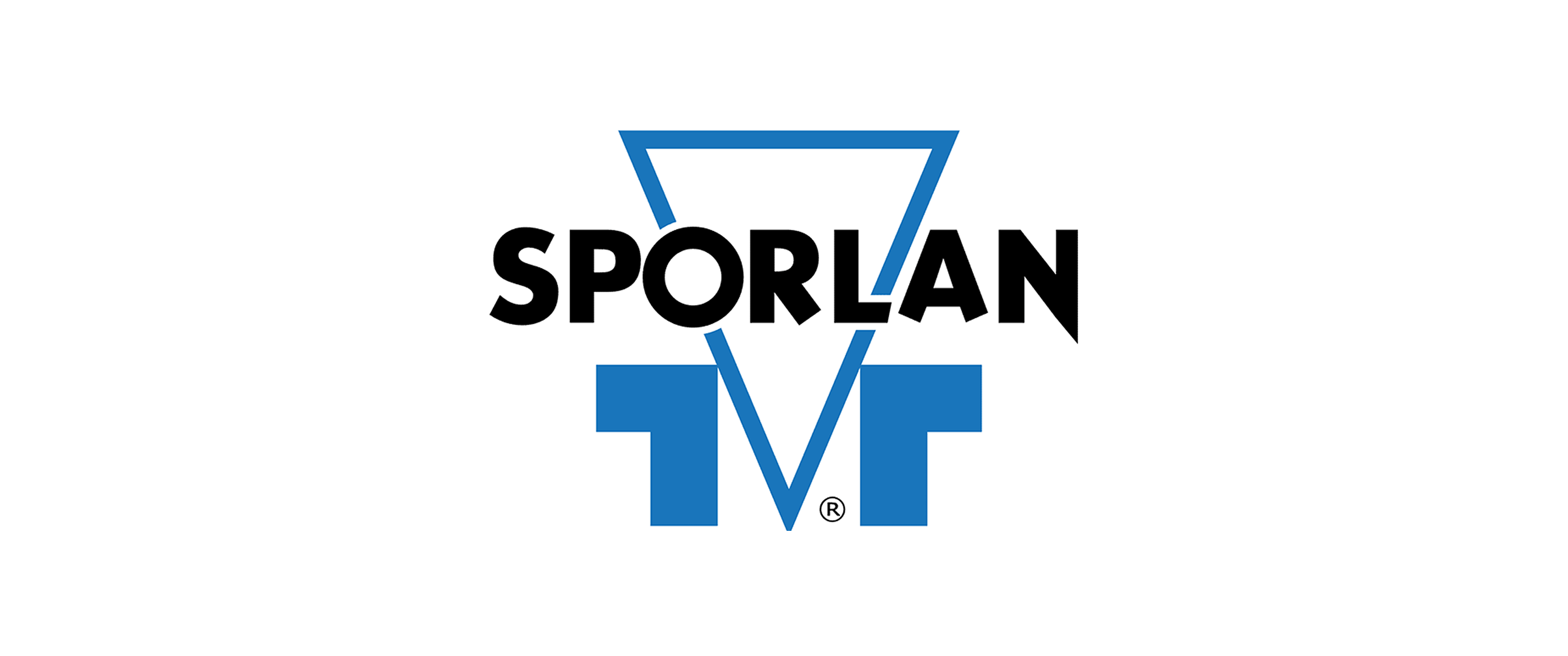 Portfolio Item Image